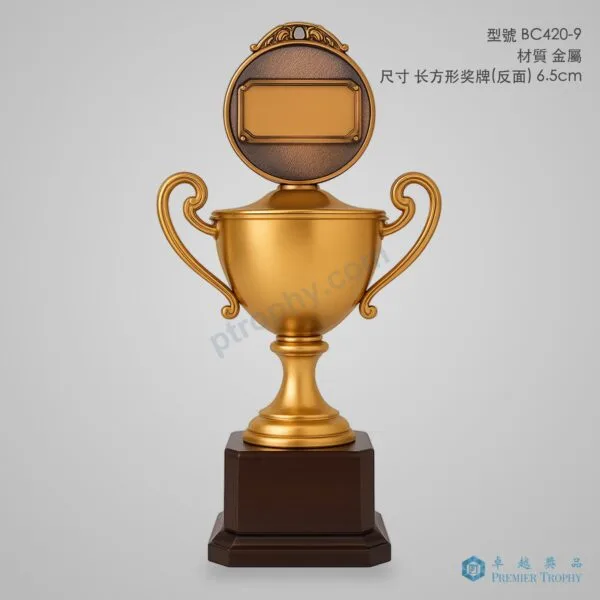 BC420-9 Trophy,獎盃訂造 - 卓越獎品香港廠房