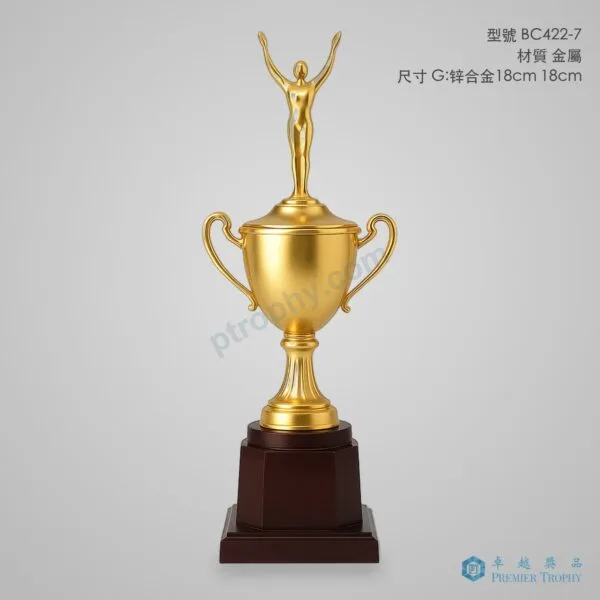BC422-7 Trophy,獎盃訂造 - 卓越獎品香港廠房
