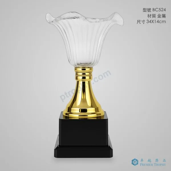 BC524 Trophy,獎盃訂造 - 卓越獎品香港廠房