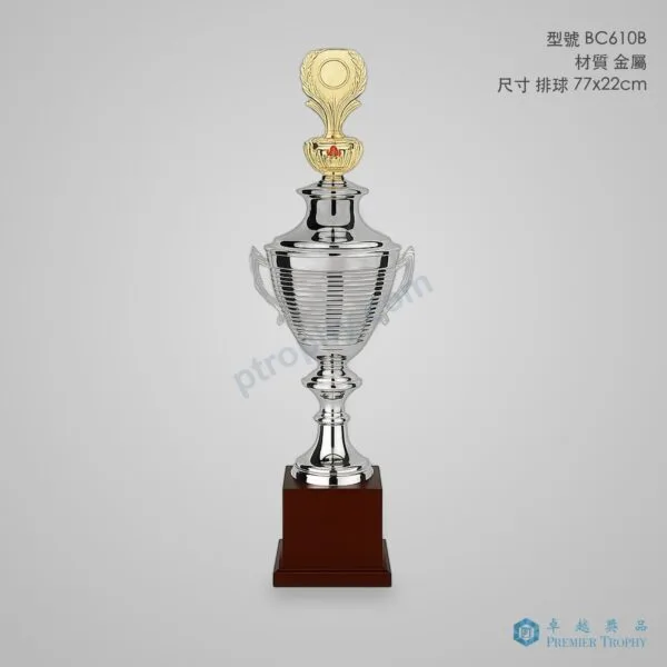BC610B Trophy,獎盃訂造 - 卓越獎品香港廠房