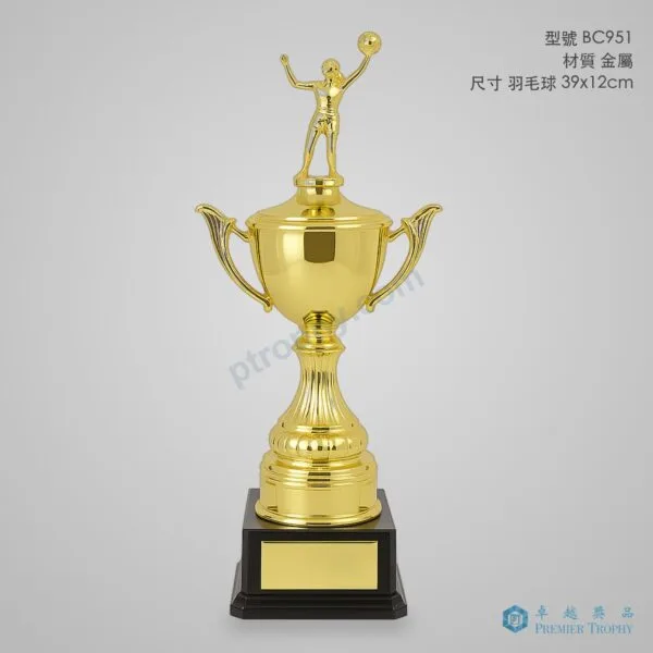 BC951 Trophy,獎盃訂造 - 卓越獎品香港廠房