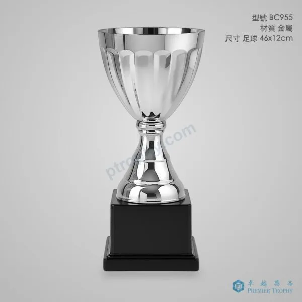 BC955 Trophy,獎盃訂造 - 卓越獎品香港廠房