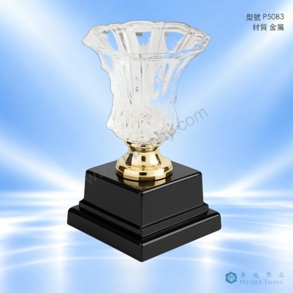 P50B3 Trophy,獎盃訂造