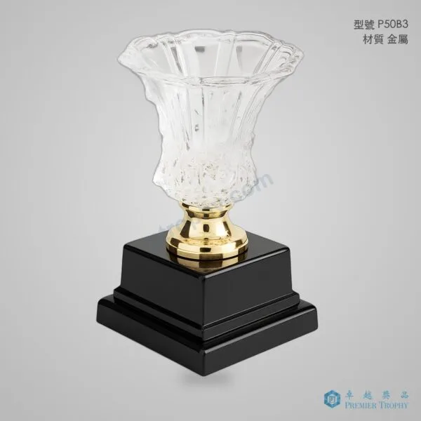 P50B3 Trophy,獎盃訂造 - 卓越獎品香港廠房