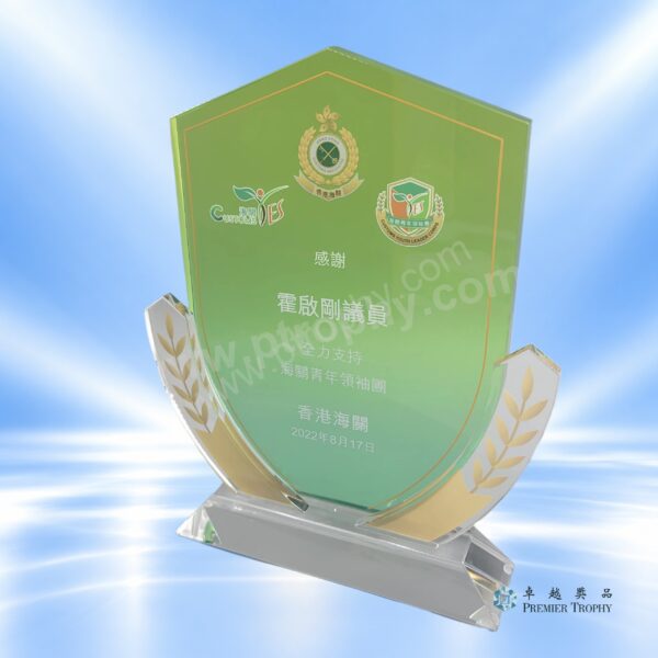 AE371 水晶獎座 –，學校及機構獎項訂造