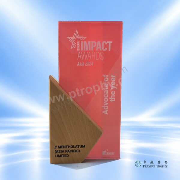 AE387 Crystal Award