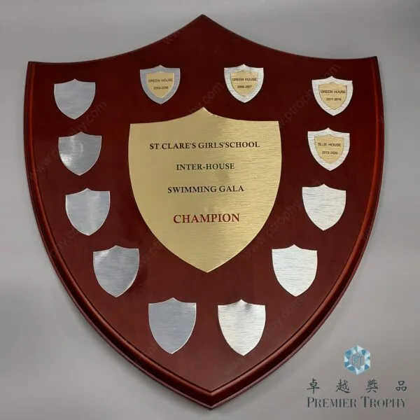AE411 Crystal Award，學校及機構獎項訂造