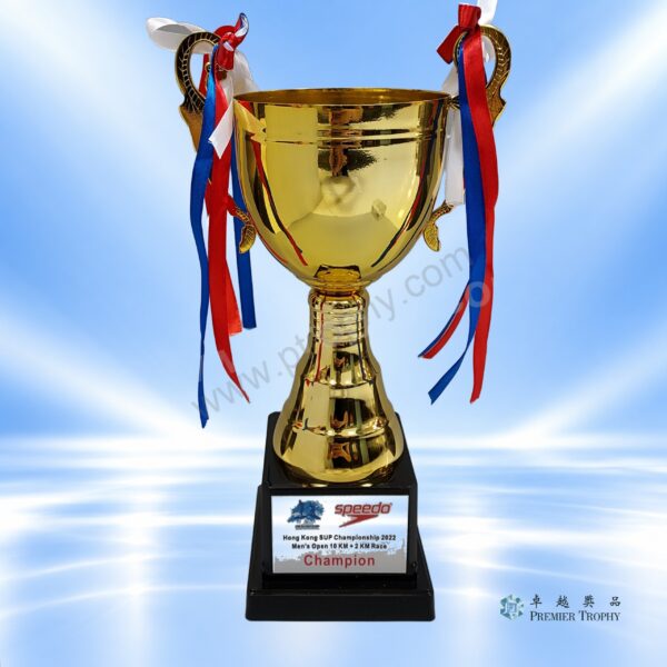 AE422 Crystal Award