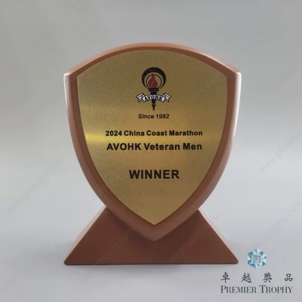 AE543 Crystal Award，專題設計系列訂造
