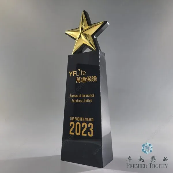 AE557 水晶獎座 –，企業獎項訂造