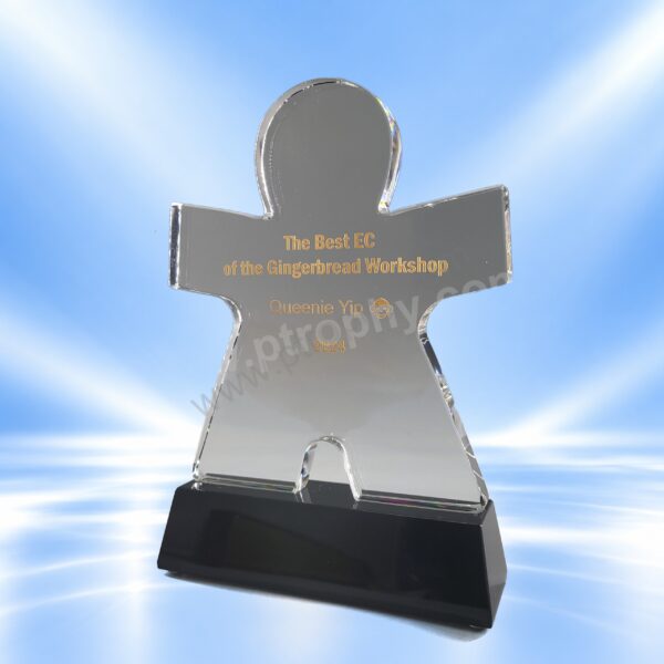 AE613 Crystal Award