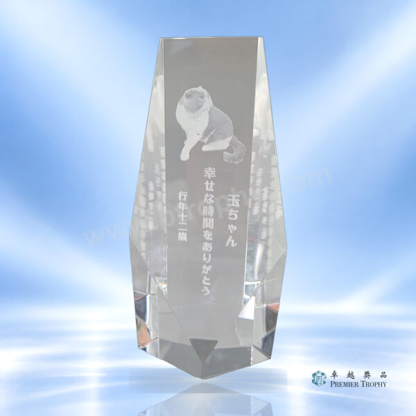 AE646 水晶獎座 –,內雕水晶獎座訂造