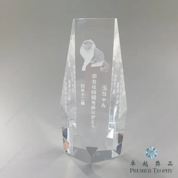 AE646 Crystal Award,內雕水晶獎座訂造