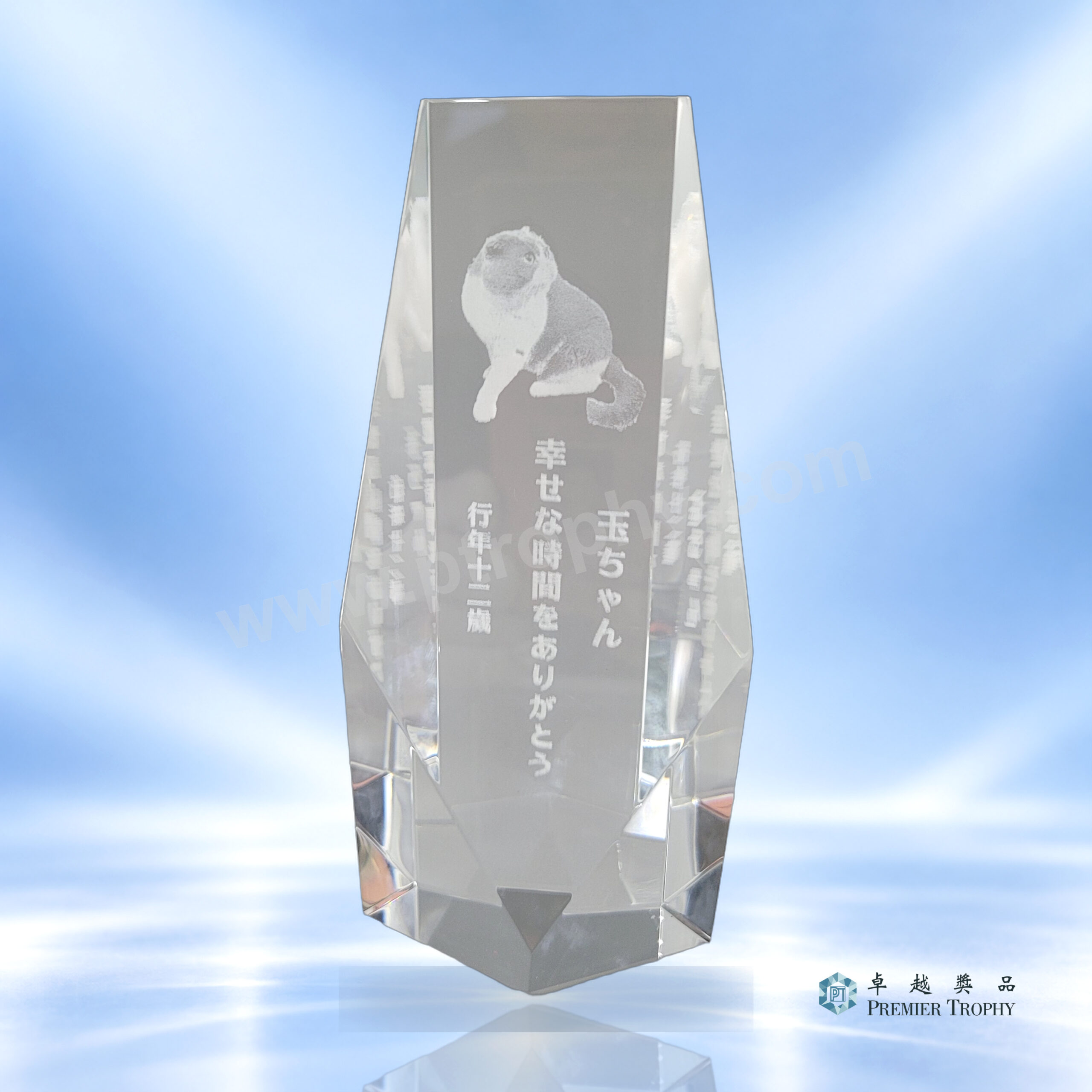 AE646 水晶獎座 –,內雕水晶獎座訂造