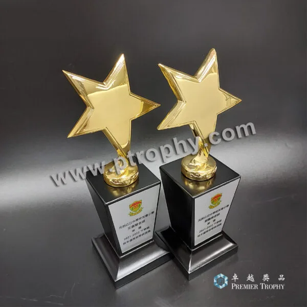 客戶案例_053 · 元朗公立星形獎杯 1，客戶案例訂造