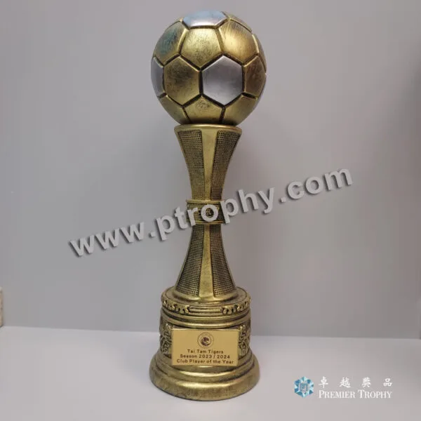 客戶案例_150 · Hong Kong International School 樹脂足球獎盃，客戶案例訂造