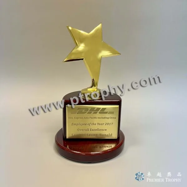客戶案例_202 · DHL 星形獎座 2，客戶案例訂造