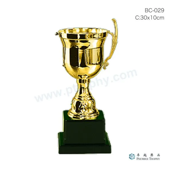 BC029