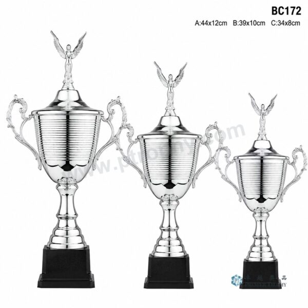 BC172 獎盃|香港獎盃