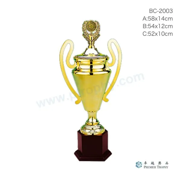 BC2003