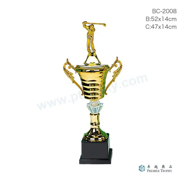 BC2008
