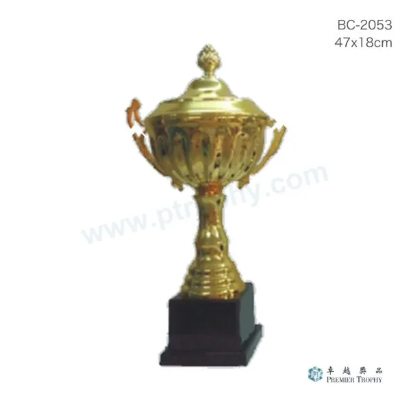 BC2053