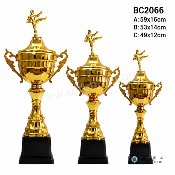 BC2066 獎盃|香港獎盃