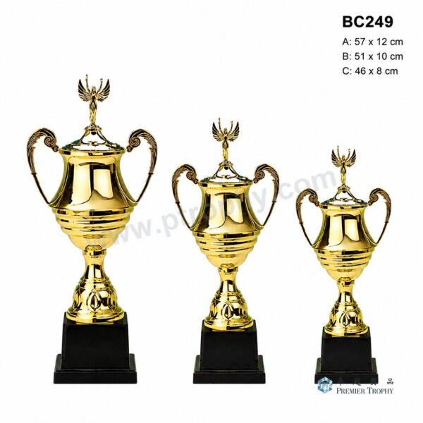 BC249 獎盃|香港獎盃