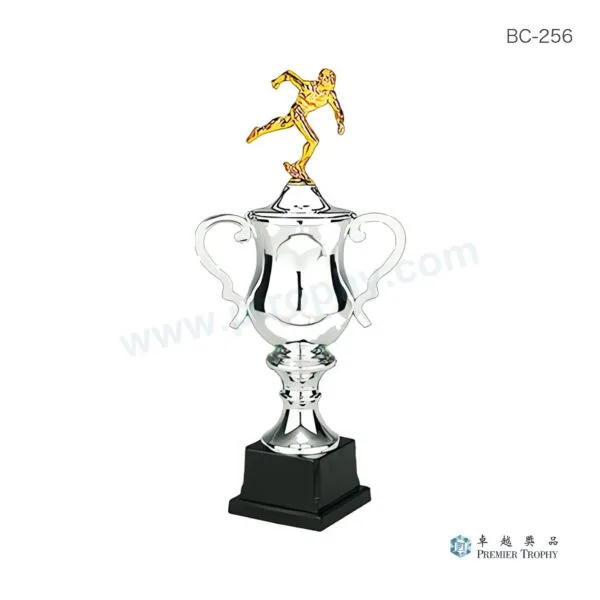BC256