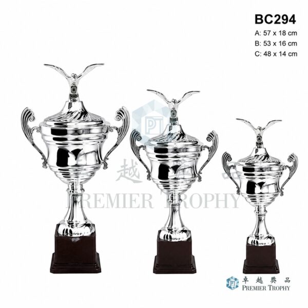 BC294 獎盃|香港獎盃