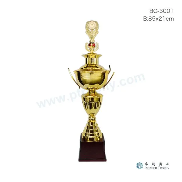 BC3001