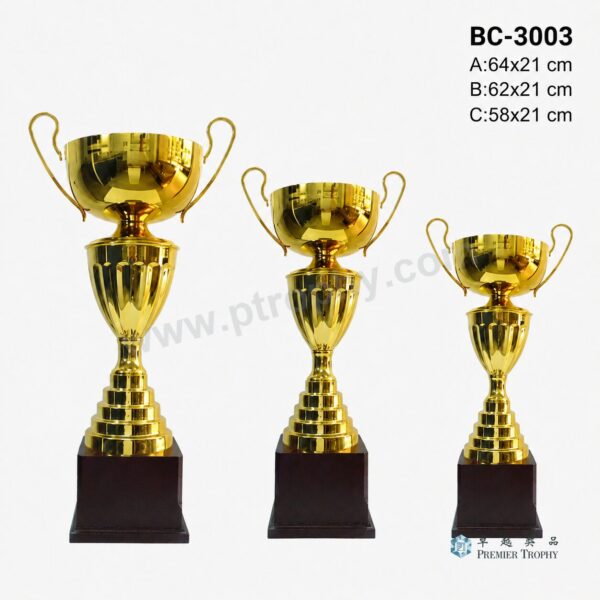 BC3003 獎盃|香港獎盃