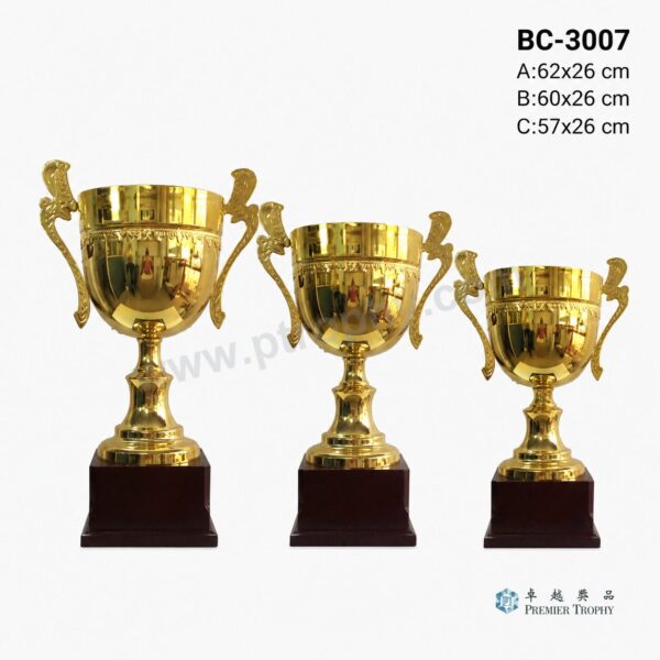 BC3007 獎盃|香港獎盃
