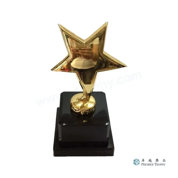 金屬雕像獎盃 G01_18CM